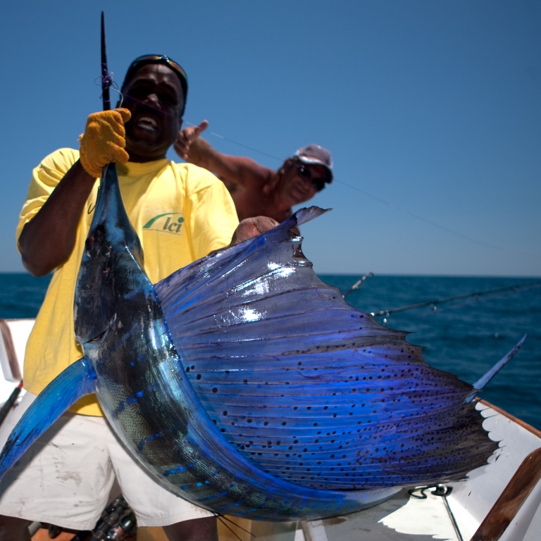 espadon-voilier-madagascar-010.jpg Un poisson trophée !