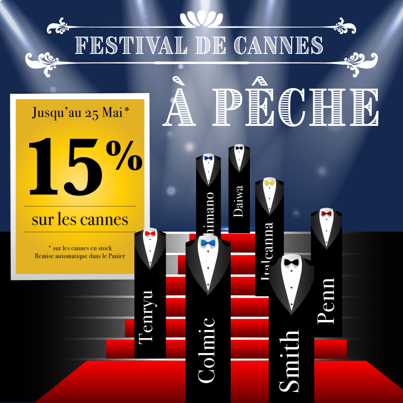 Festival de Cannes 2026 : 15% sur les cannes à pêche en stock