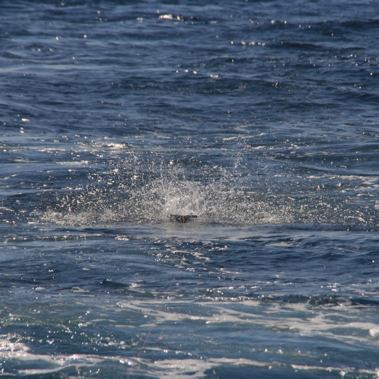 Fond de mer pour contenu sans photo.