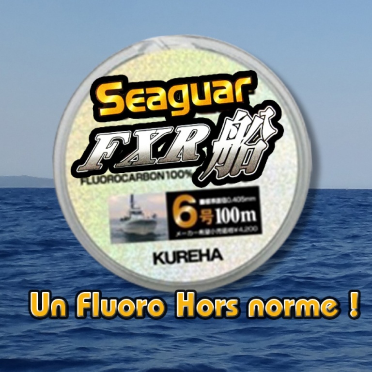 Fluorocarbone Seaguar FXR