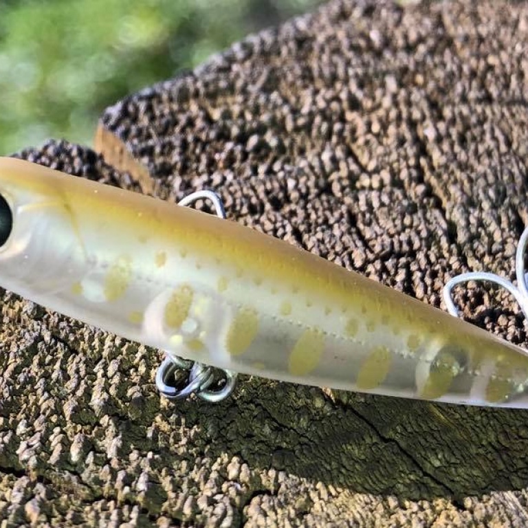 JACKSON crée et fabrique des leurres haut de gamme au Japon depuis 1980. Pas n importe quels leurres, des leurres dexception dotés dun don : celui de prendre du poisson là où dautres nen prennent pas.