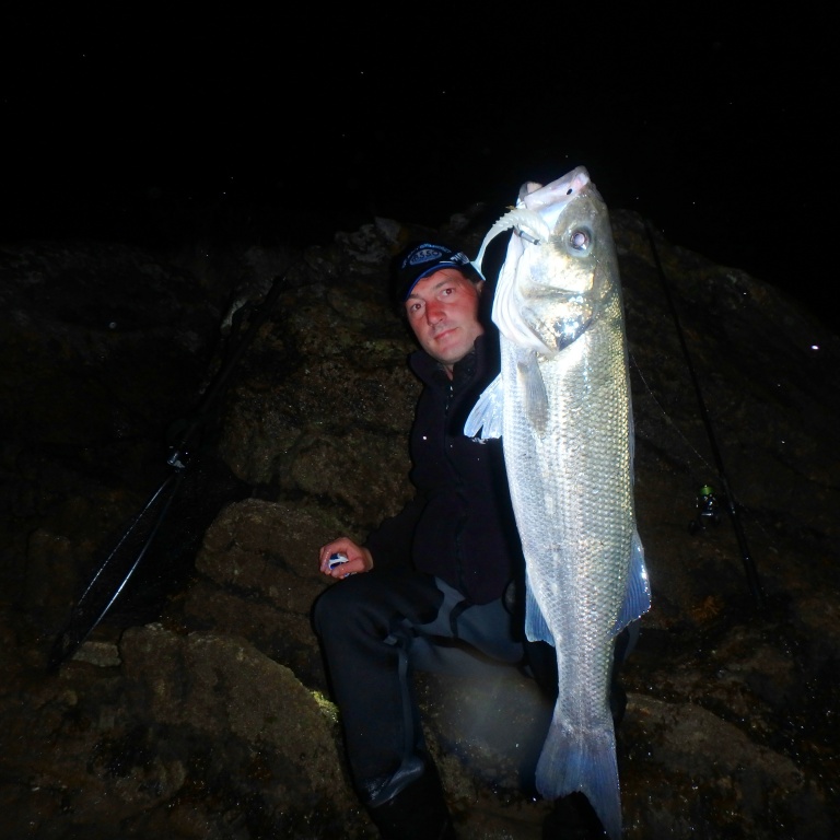 Le shad pulse blanc est une valeur sûre, la nuit !