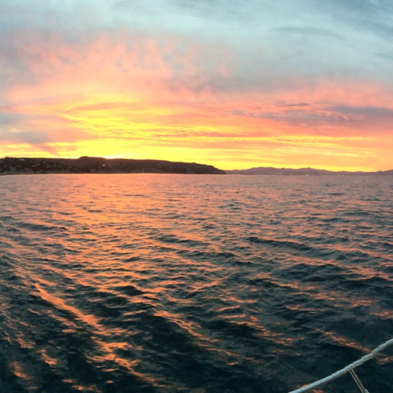 matin_aux_calamars_img_1064.jpg Un matin à la pêche au calamar !
