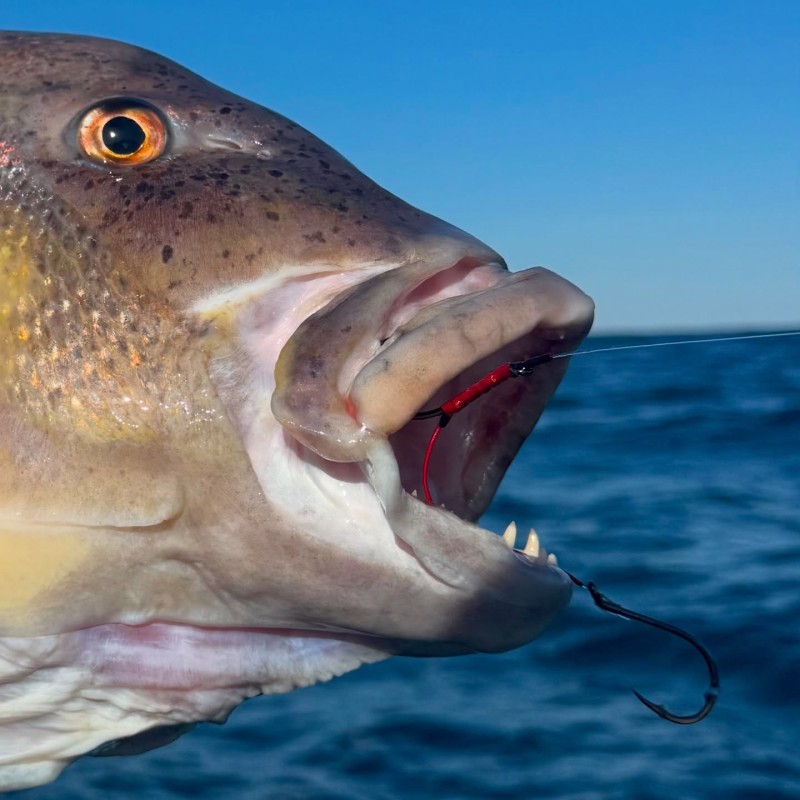 Montage Top Game Top Fishing, rien n'est laissé au hasard