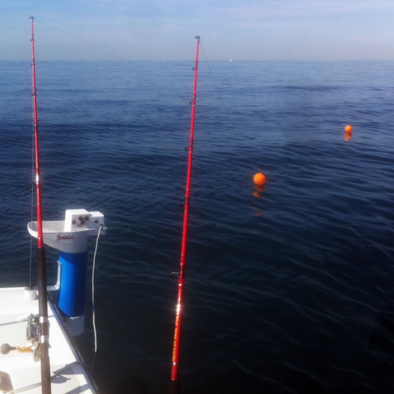 Pêche du thon au Broumé.