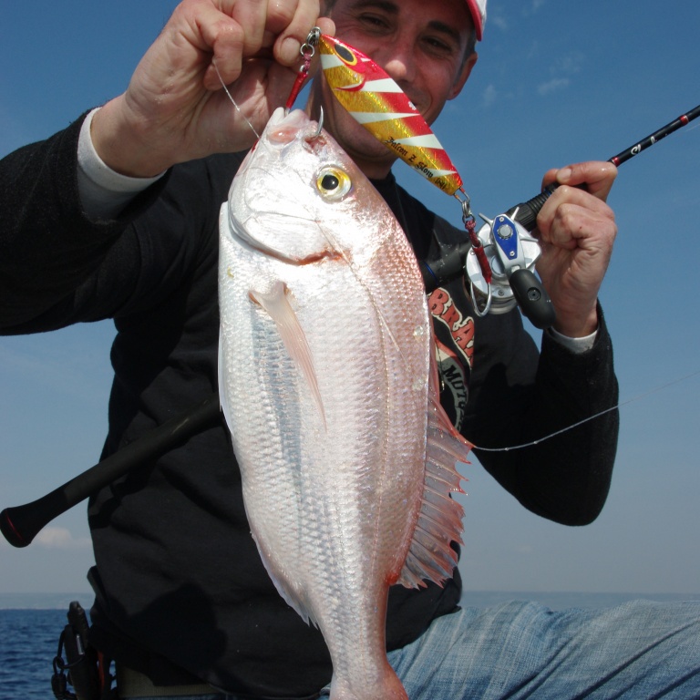 peche-slow-jigging-sc-172.jpg Beau pageot pris au printemps 2015 en slow jigging