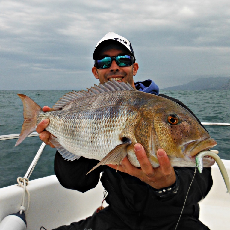 Denti de 2.5 kg au Crazy Sand Eel