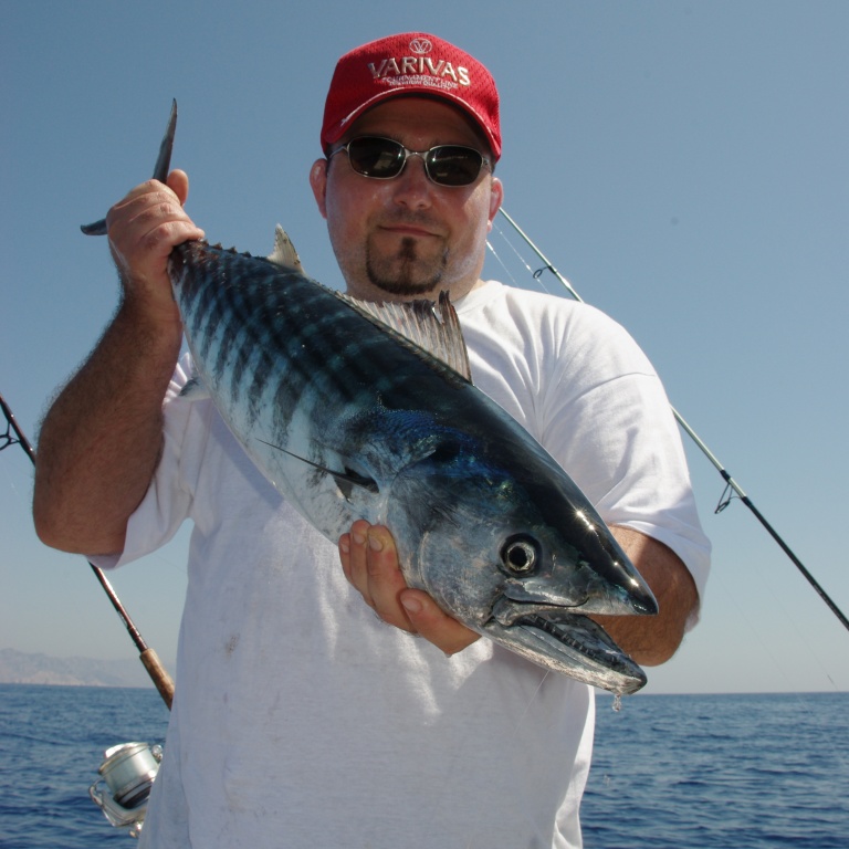 Slow Casting Squid Top Sea: une friandise pour tous les prédateurs!