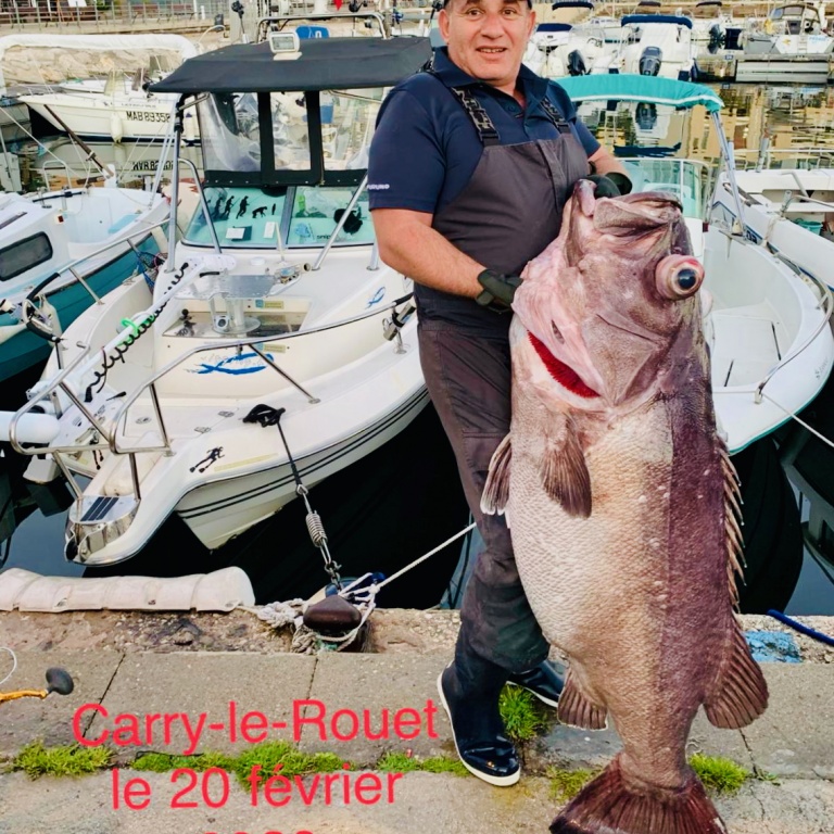 Très beau cernier pêché par Philippe Maréchal