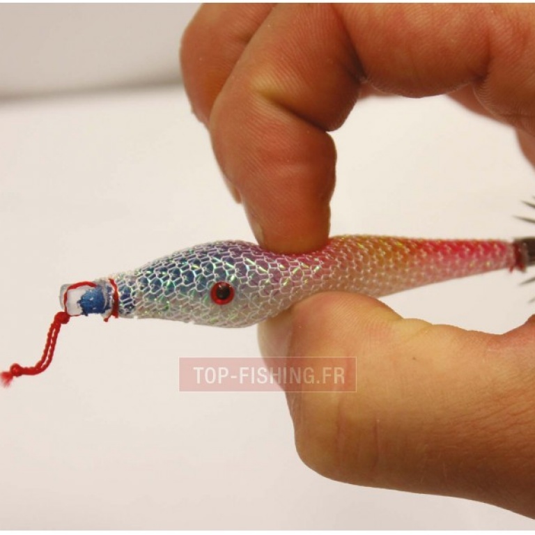 Flashmer est un des plus grands spécialistes de la pêche des céphalopodes.