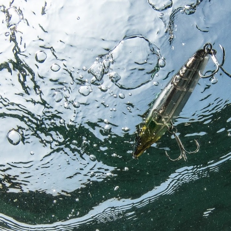 XORUS est une marque française spécialisée dans les pêches au leurre.