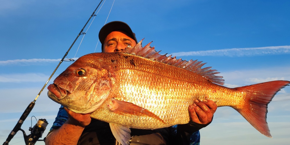 Jérôme avec un beau denté rose (sama) pêché grâce à un Fireball Top Sea !