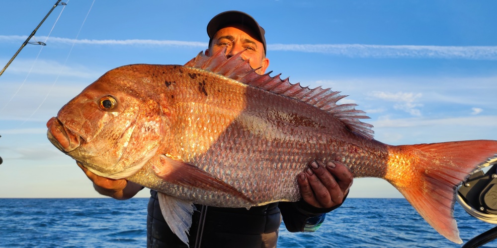 Superbe Sama pris avec un Fireball Top Sea !