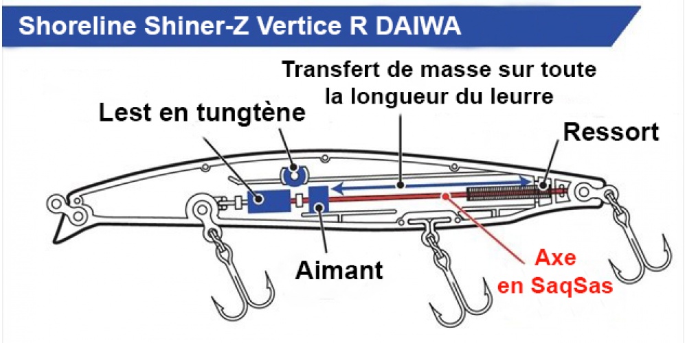 Le système de transfert de masse magnétique par piston en tungstène du Shoreline Shiner-Z Vertice R Daiwa est un des plus performants du marché !