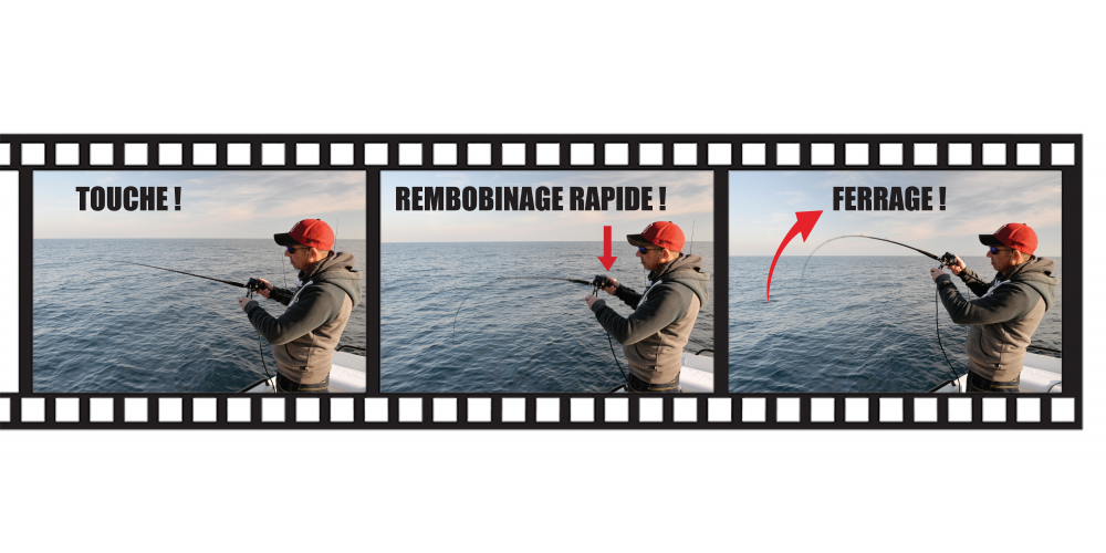 Conseil Top Fishing : Bien ferrer avec son combo Canne In Shore C198 Top Fishing + Moulinet électrique Sea King 550 HP WFT :