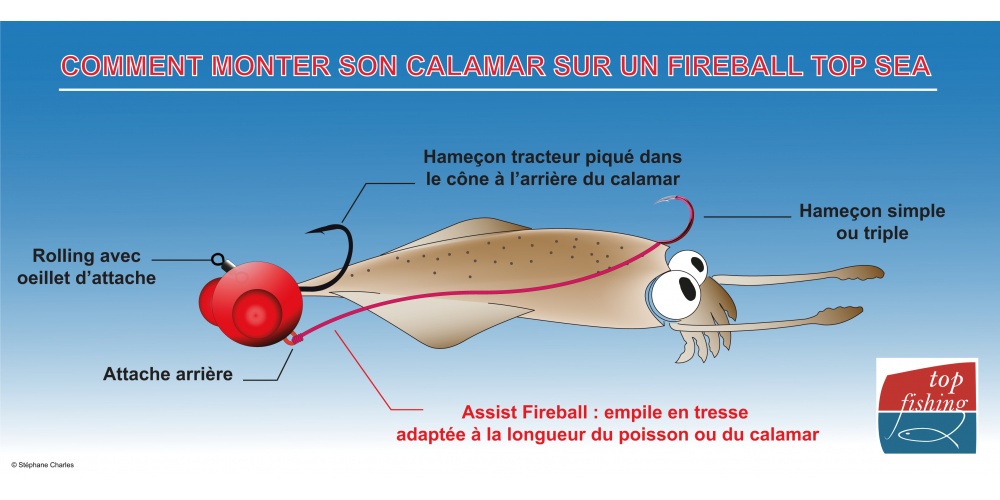 Aucune description