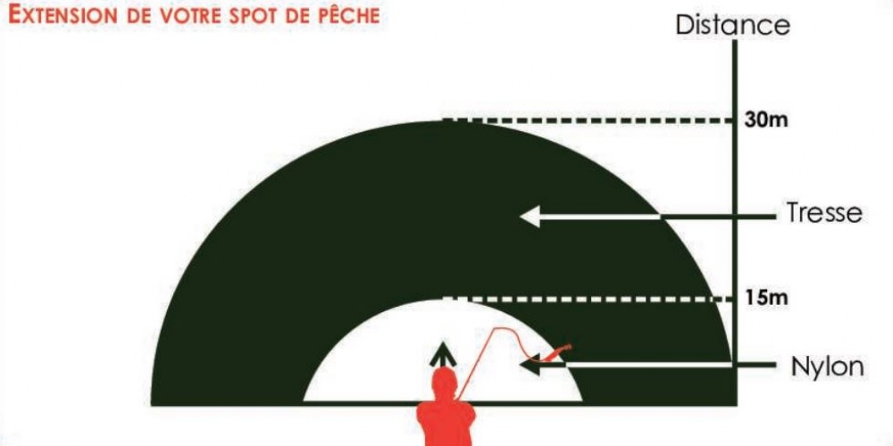 Croyez le ou pas, mais les calamars viennent près de la cote en groupe et nous pouvons en attraper à la ligne depuis le bord