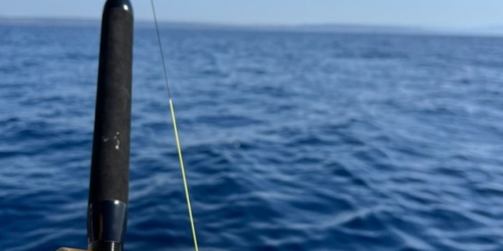 italcanna-gladiator-top-5-moulinet-traine-1.jpg Le Gladiator de chez Italcanna l’excellence italienne ...