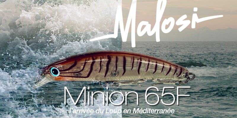 Leurre Malosi Minion 65 F