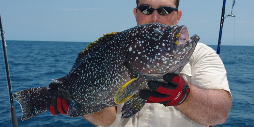 pêche d'un merou en exotique leurre
