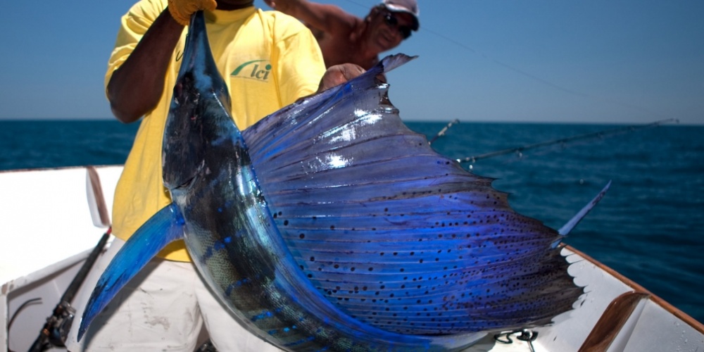 à Madagascar règne le plaisir de pêcher