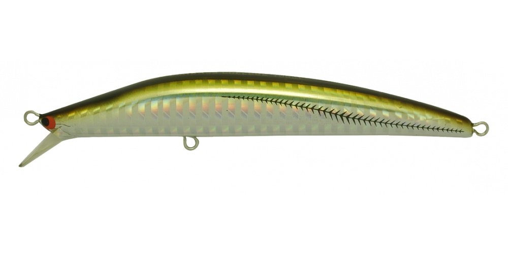 Le Seabass College est une référence pour les pêches dans de faibles profondeurs.