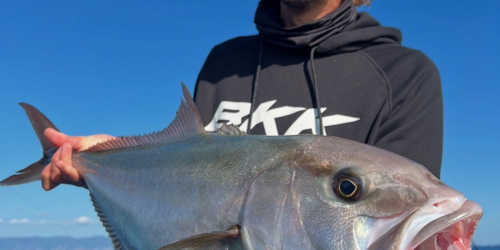 Une belle sériole !