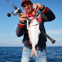 Les leurres Calamars JLC sont d’une rare efficacité sur les sparidés carnassiers !