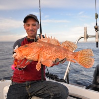 Magnifique chapon record pris avec le Slider Set Omega X-Paragon