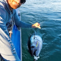 2-hydro-monster-shot-yo-zuri-rare-efficacite-thon-rouge.jpg L’Hydro Monster Shot Yo-Zuri est d’une rare efficacité sur les thons rouges !