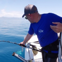 21-ce-thon-aussitot-relache-.jpg Ce thon aussitôt relâché a été estimé à environ 60 kg