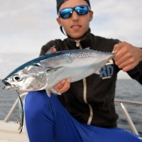 22-ryuki-duo-un-jerkbait-coulant-ideal-peches-sur-chasse.jpg Le Ryuki Duo est un jerkbait coulant idéal pour les pêches sur chasses de bonites !