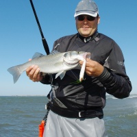 23-jig-minnows-parfaits-pecher-vagues-plage.jpg Les jig minnows sont parfaits pour pêcher les vagues en plage