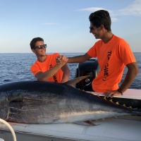 Plombs Ecosnap Top Game : les plombs spécifiquement conçus pour la pêche au broumé !