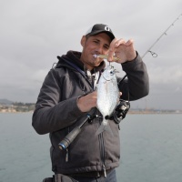 Une nouvelle oblade au propbait avec un autre coloris de 3DR Prop