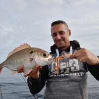 Le Squid Game Slider X-Paragon est une nouveauté 2024 !