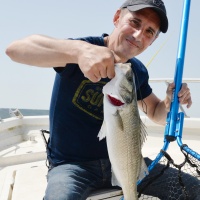 Le Morethan Trick Upper R Daiwa est un must pour le bar ! 