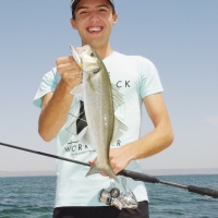 35-petit-modele-asturie-xorus.jpg Le plus petit modèle d’Asturie Xorus (9 cm) est excellent pour les pêches fines !