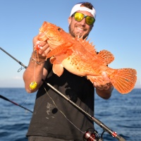 Magnifique chapon pris au kabura Bunri Kab Explorer Tackle boosté aux lanières de calamar