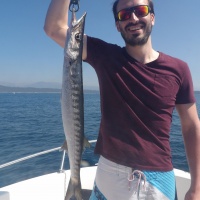La traîne lente au downrigger permet de toucher du barracuda en pleine journée !