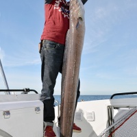 4bis-enorme-congre-plus-20kg-peche-bas-de-ligne-fxr.jpg Seaguar : une gamme hyper complète de fluorocarbones d’une qualité exceptionnelle pour toutes les pêches !