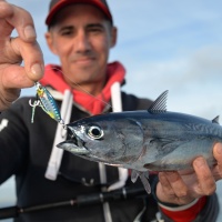 armement-casting-jig-18.jpg Avec un assist en queue et un double assist en tête, le Drag Métal Cast slow Duo prend même lors de sa descente à l’horizontale.