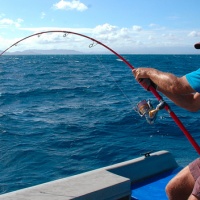 Canne Popping XTREM en pleine action 