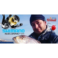 socorro_et-fireball.jpg Socorro SW, idéal pour le Fireball